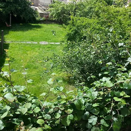 A Due Passi Dal Centro For Rent 3* Pisa