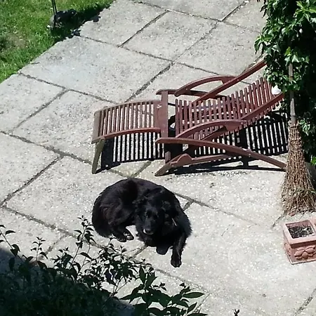 A Due Passi Dal Centro For Rent Alojamento de Acomodação e Pequeno-almoço 3*