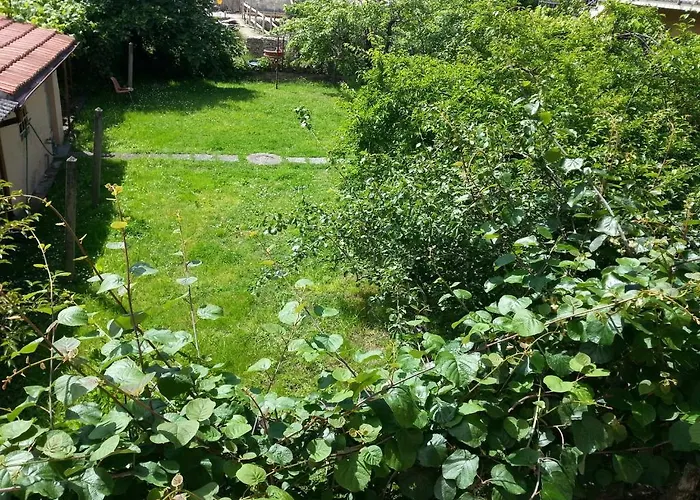 A Due Passi Dal Centro For Rent 3* Pisa