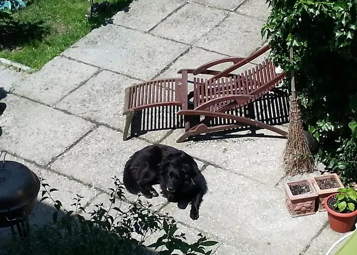 A Due Passi Dal Centro For Rent Bed & Breakfast 3*